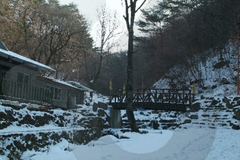 芳東藥水 (3/4)