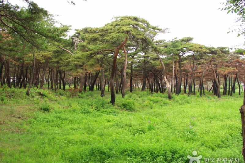 洛山道立公園