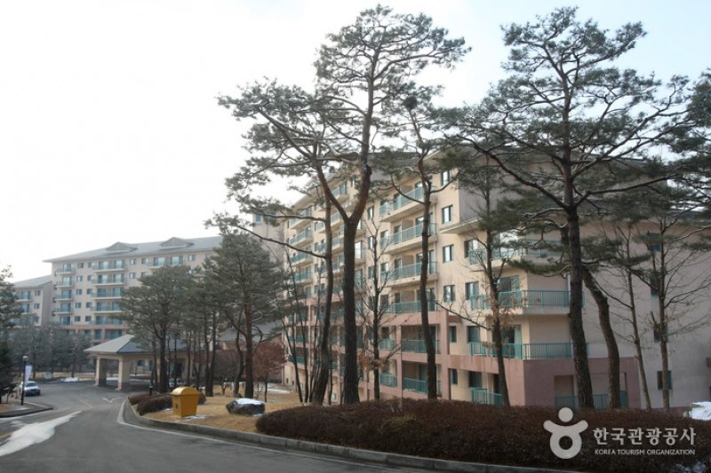 韓松橡樹谷渡假村 (2/19)