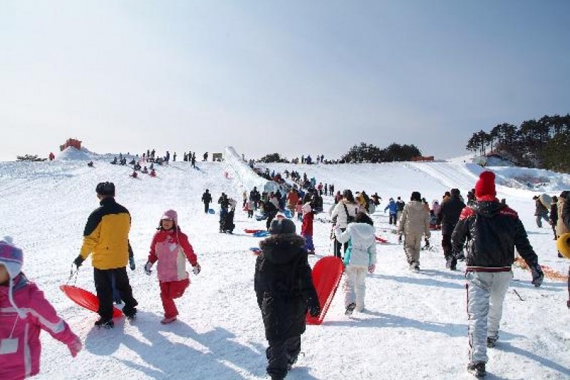 平昌義野地希望村 (1/12)