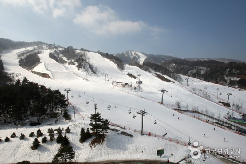 鳳凰平昌公寓式飯店(휘닉스 평창 콘도)