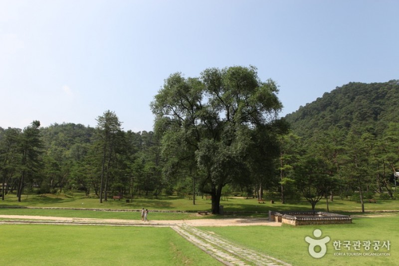 寧越莊陵 [UNESCO世界文化遺產] (10/34)