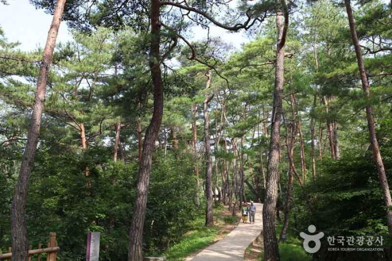寧越莊陵 [UNESCO世界文化遺產] (21/34)