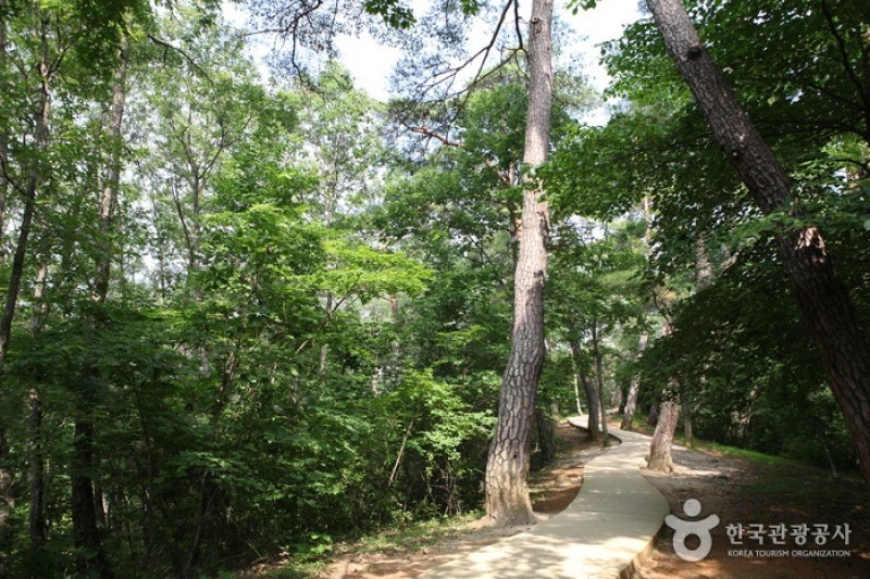 寧越莊陵 [UNESCO世界文化遺產] (22/34)
