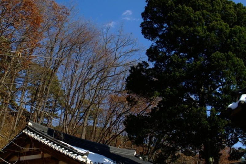 寧越莊陵 [UNESCO世界文化遺產] (27/34)