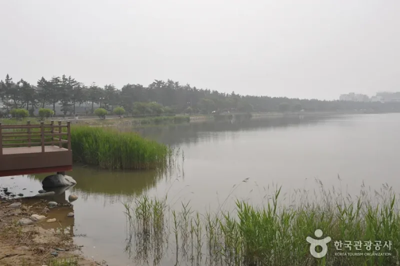 鏡浦道立公園(경포도립공원)