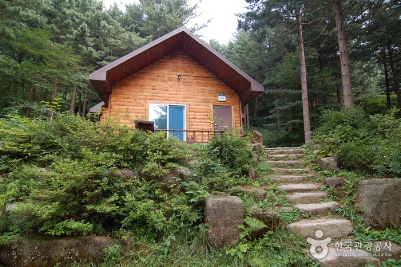 青太山自然休養林