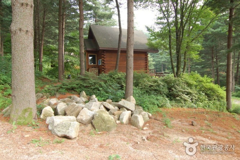 青太山自然休養林