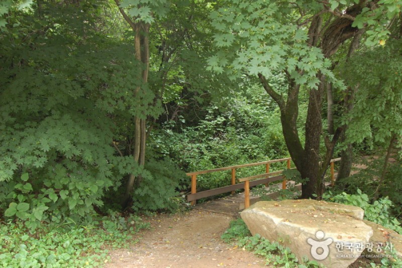 青太山自然休養林