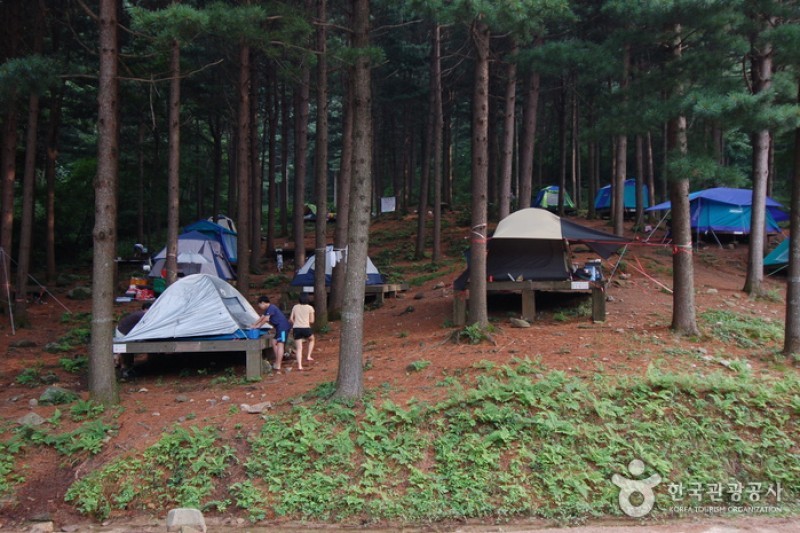 青太山自然休養林