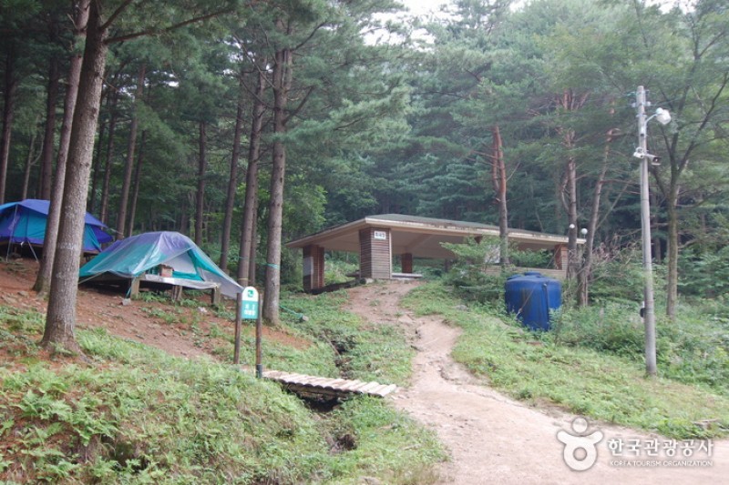 青太山自然休養林
