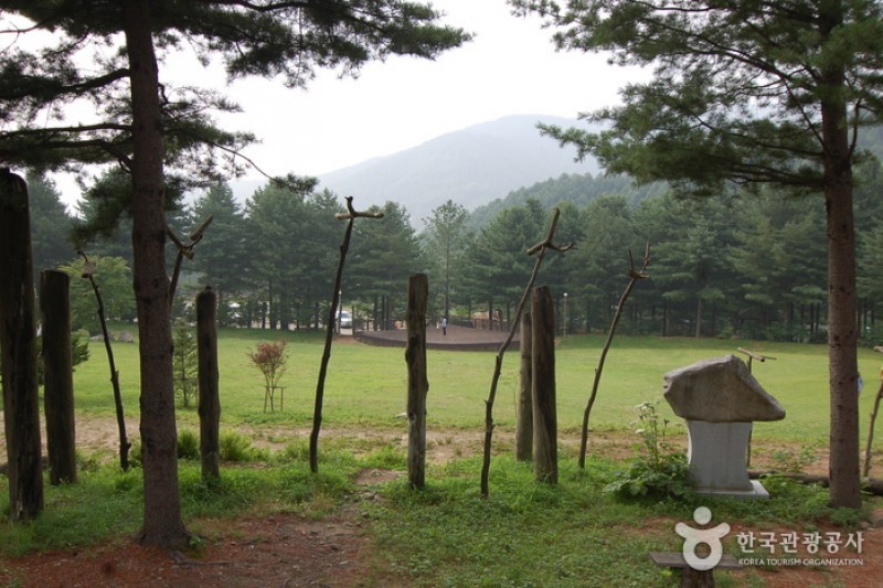 青太山自然休養林