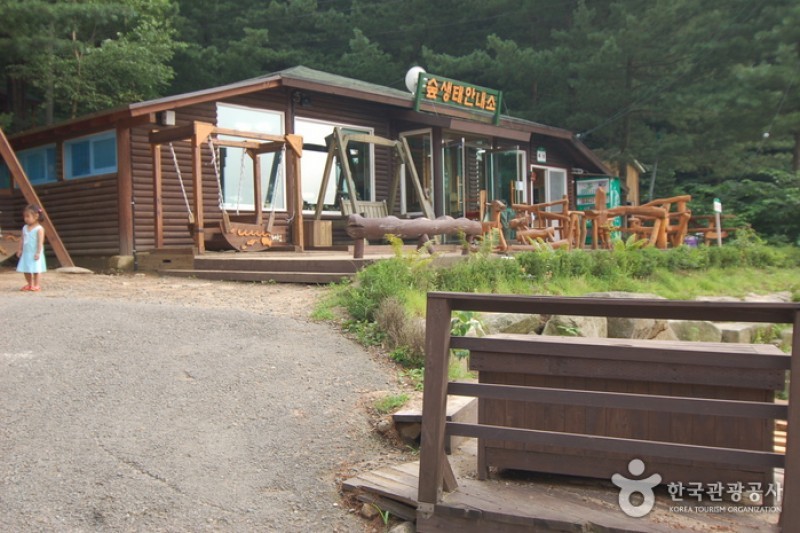 青太山自然休養林