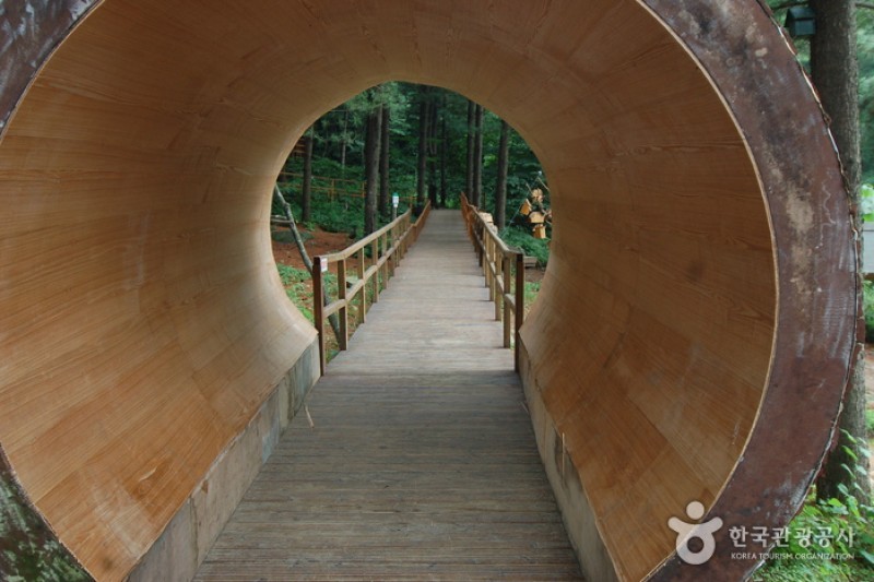 青太山自然休養林