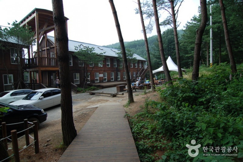 青太山自然休養林