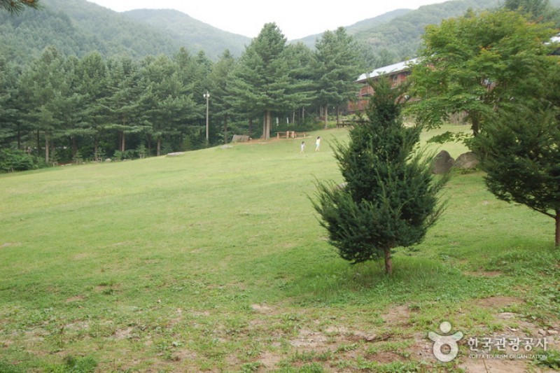 青太山自然休養林