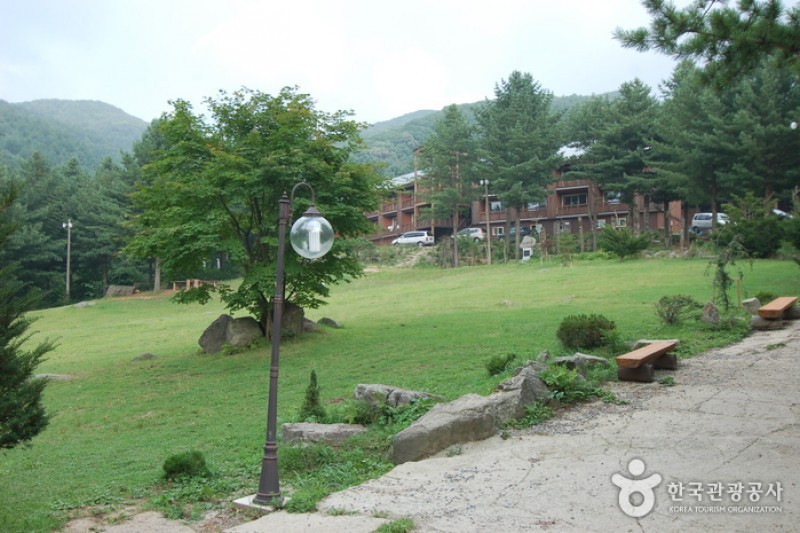青太山自然休養林