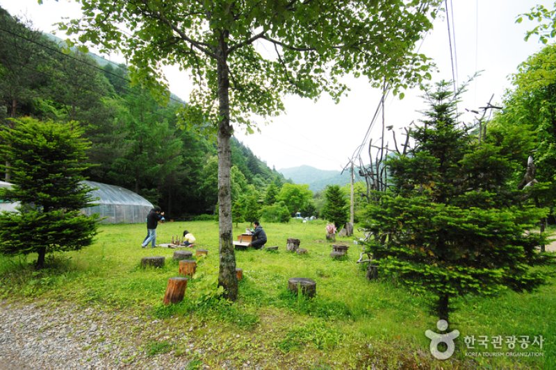 三峰自然休養林 
