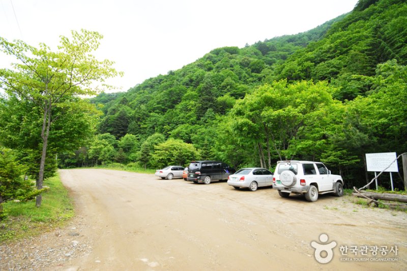 三峰自然休養林 