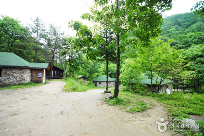 三峰自然休養林 