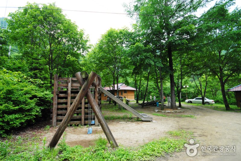 三峰自然休養林 