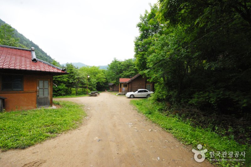 三峰自然休養林 