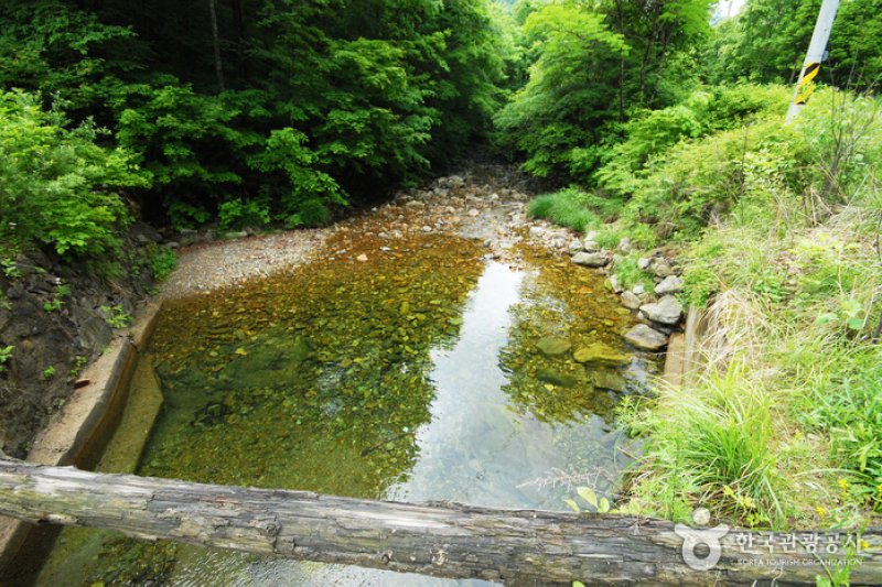 三峰自然休養林 