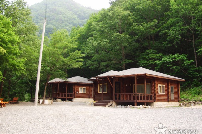 米川谷自然休養林 