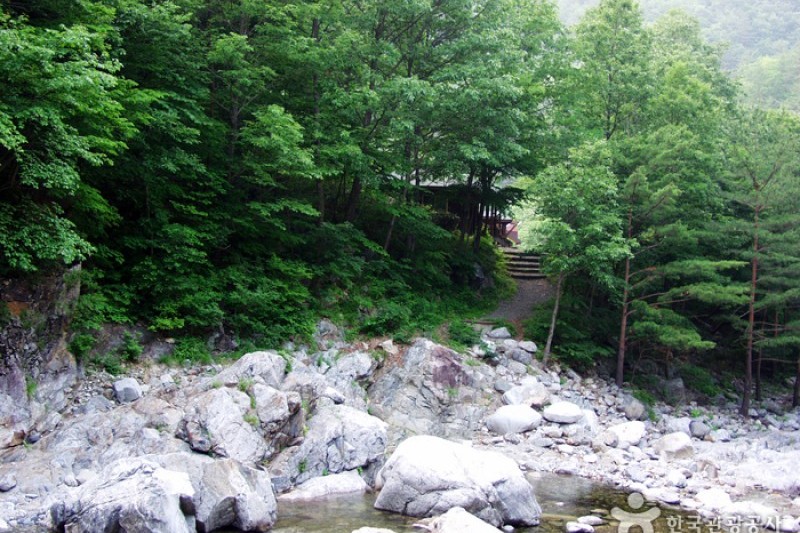 米川谷自然休養林 