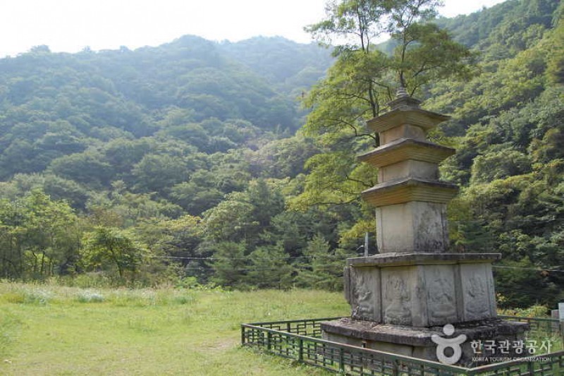 米川谷自然休養林 