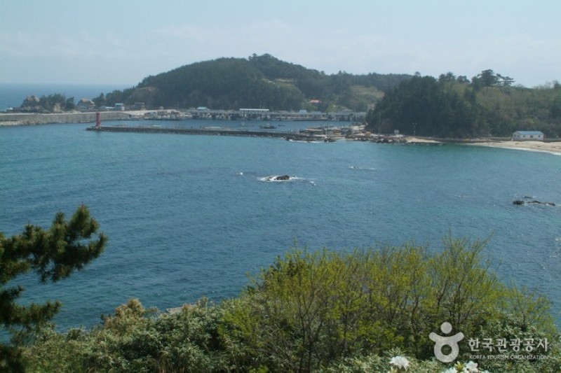 莊湖港  (4/5)