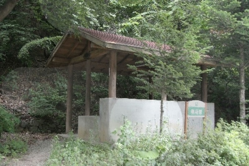 Jipdari谷自然休養林 