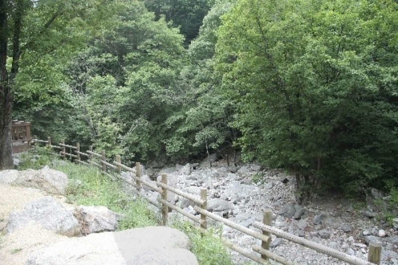 Jipdari谷自然休養林 