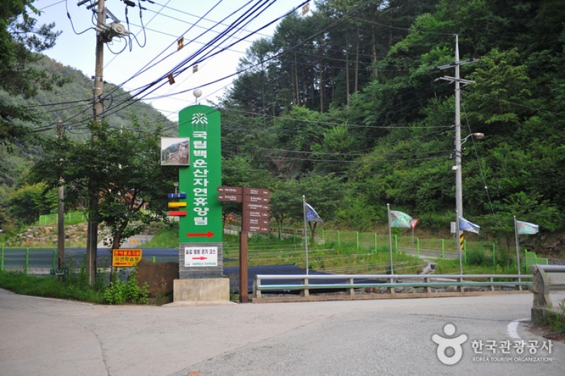 國立白雲山自然休養林 (2/3)