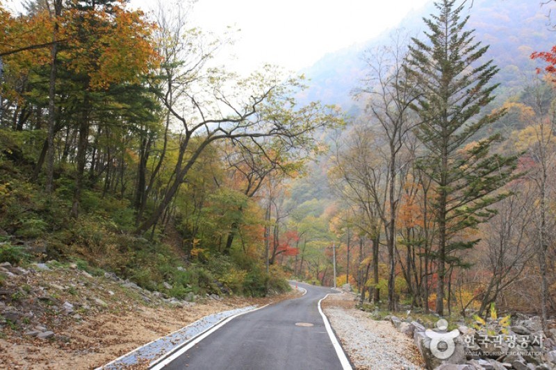 頭陀山自然休養林
