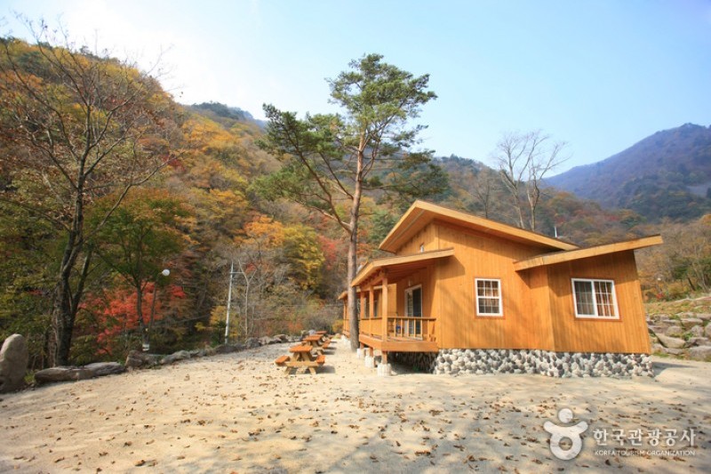 頭陀山自然休養林