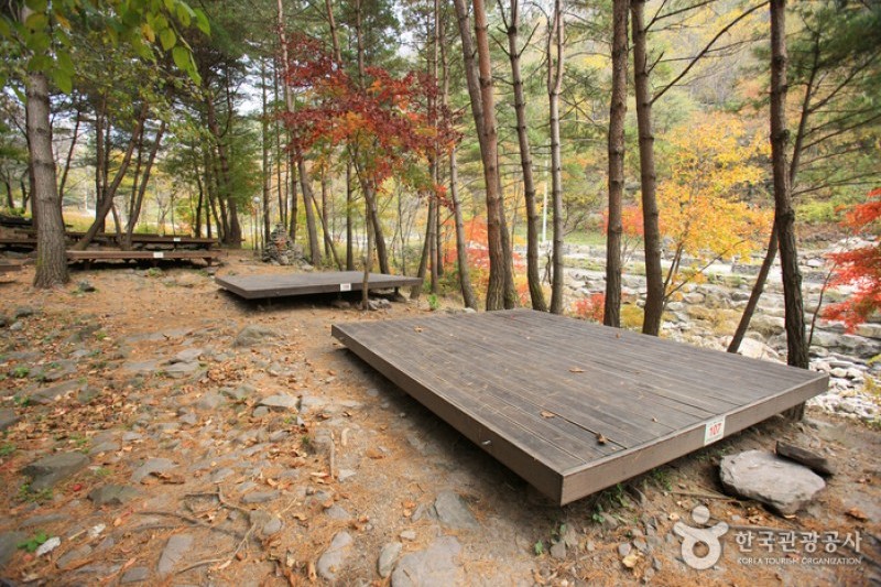 頭陀山自然休養林