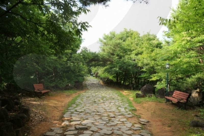 白馬高地戰爭遺址