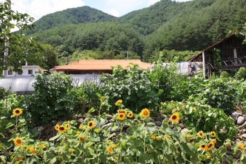 三陟德豐溪谷村