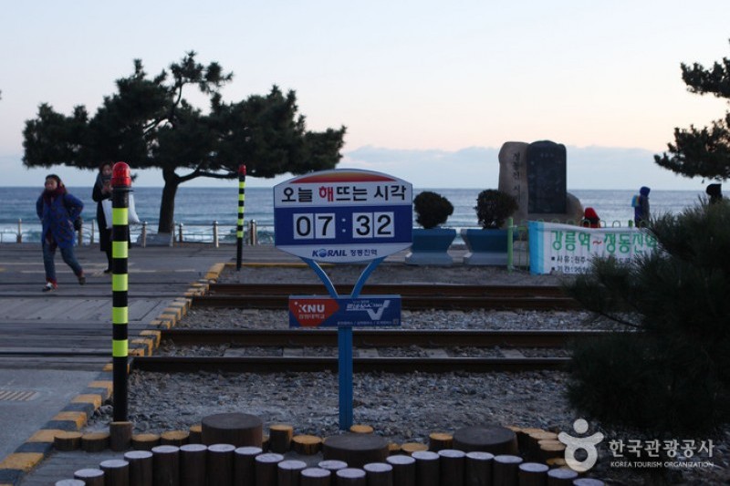 正東津日出公園 (1/21)