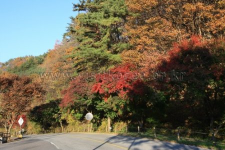 雉岳山國立公園