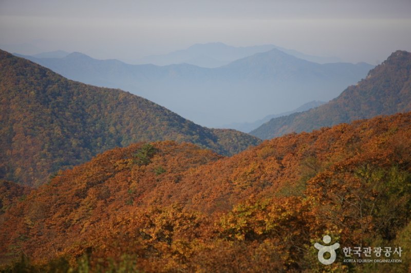 晩項嶺