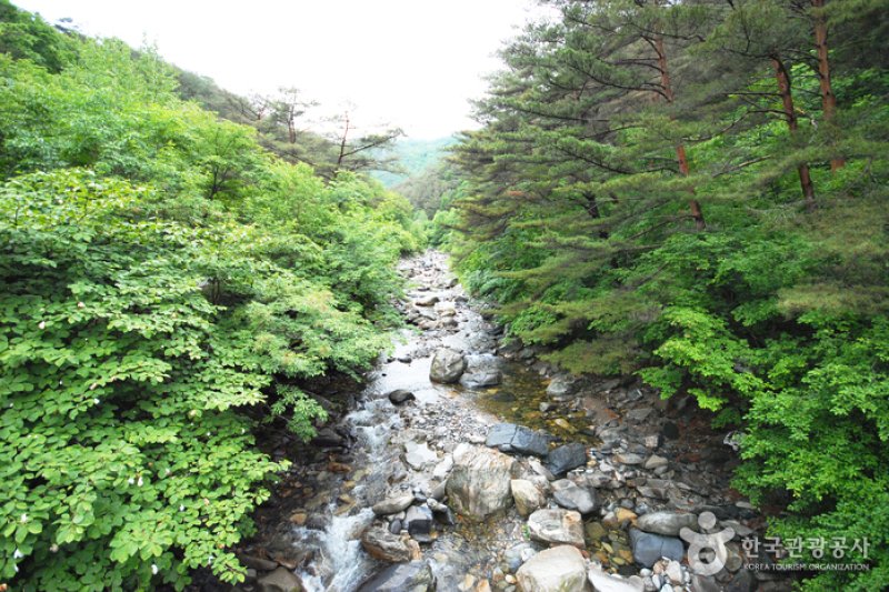 國立加里旺山自然休養林 (3/20)