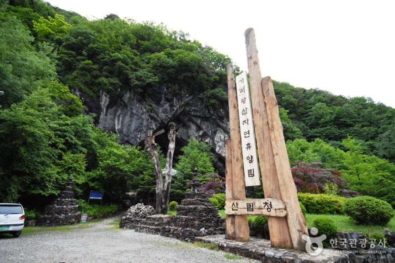 國立加里旺山自然休養林 (7/20)