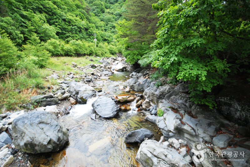 國立加里旺山自然休養林 (19/20)
