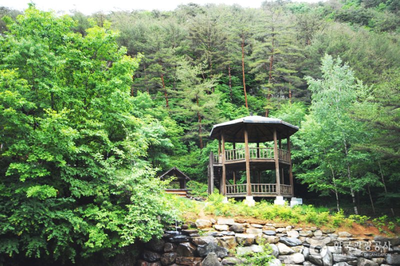 國立加里旺山自然休養林 (20/20)