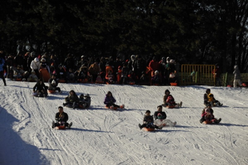 韓國民俗村雪橇場