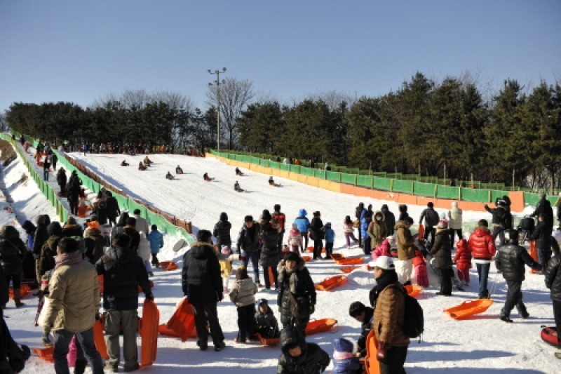 韓國民俗村雪橇場
