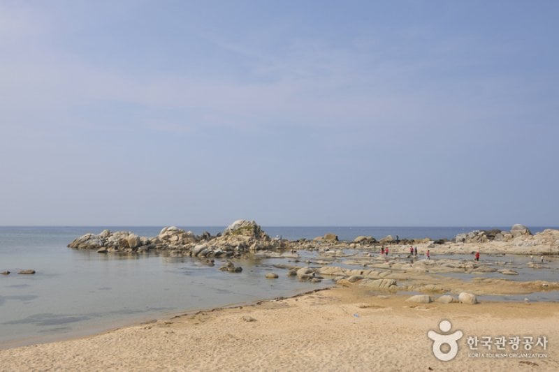 南涯海邊