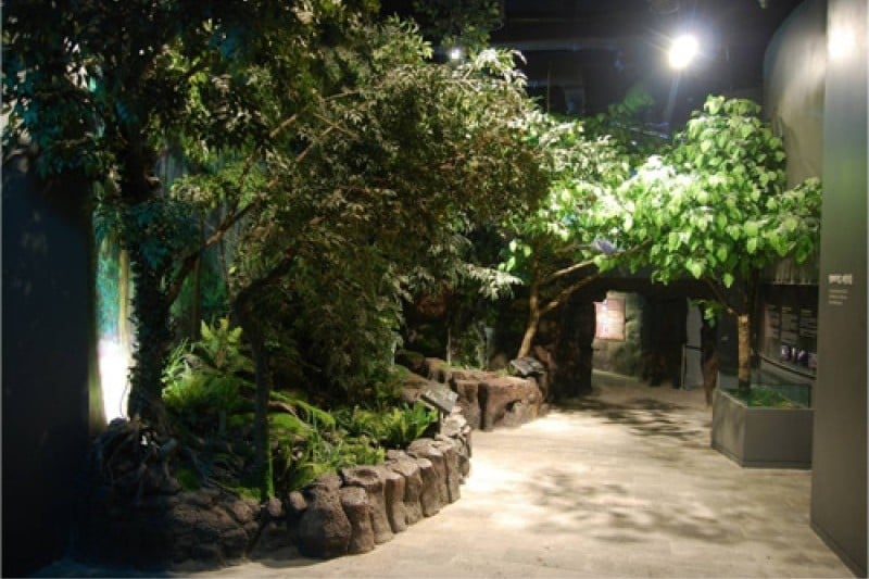 濟州世界自然遺產中心 (4/12)